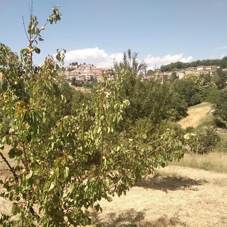 בית הארחה La Casa Delle Stelle Semproniano